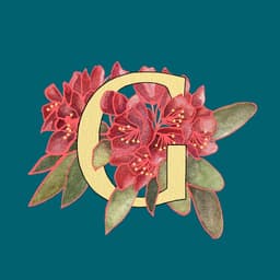 Le logo de la marque Gahanaa est constitué de la lettre G en jaune sur fond bleu canard, entrelacée avec une fleur de rhododendron, fleur nationale du Népal. Il évoque la délicatesse du travail artisanal des bijoux faits main